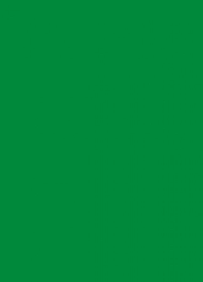 Фасады Фасад из акрила 062 Light green (Светло-зеленый) на заказ в Красноперекопске фотография