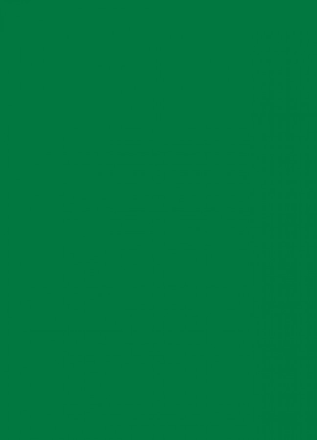 Фасады Фасад из акрила 068 Grass green (Травянисто-зеленый) на заказ в Красноперекопске Фасады Фасад из акрила 068 Grass green (Травянисто-зеленый) на заказ в Красноперекопске фотография