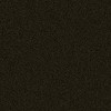Black  Shining 0337