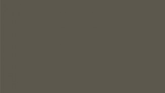  Brown 7013